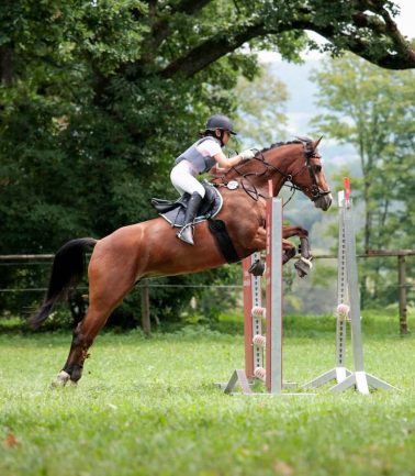 Curso Intensivo de Salto de Obstáculos