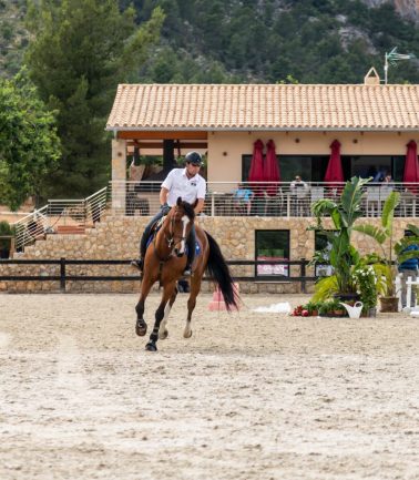ENTRENANDO CABALLOS