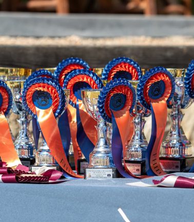Organización de competiciones